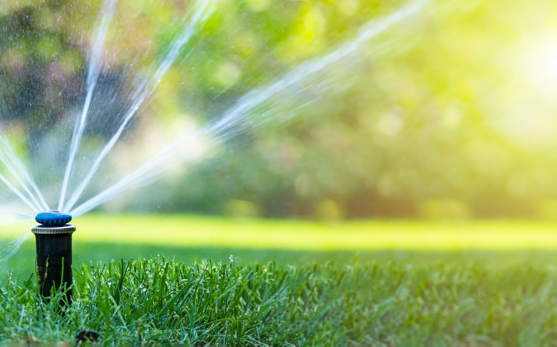 landscape company nashville
