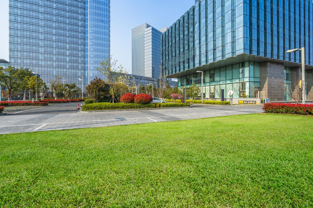 Green lawn in front of modern glass buildings with a blue sky.