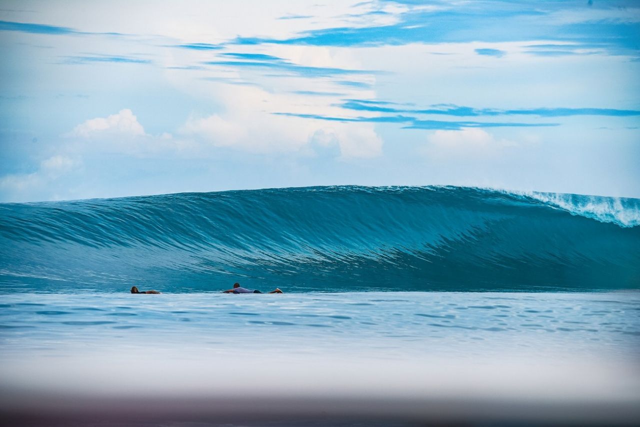 Glassy blue left point break surfing wave barreling surf spot Hollow Tree