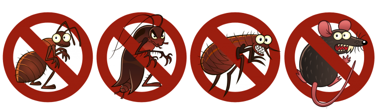 Pest Pest
