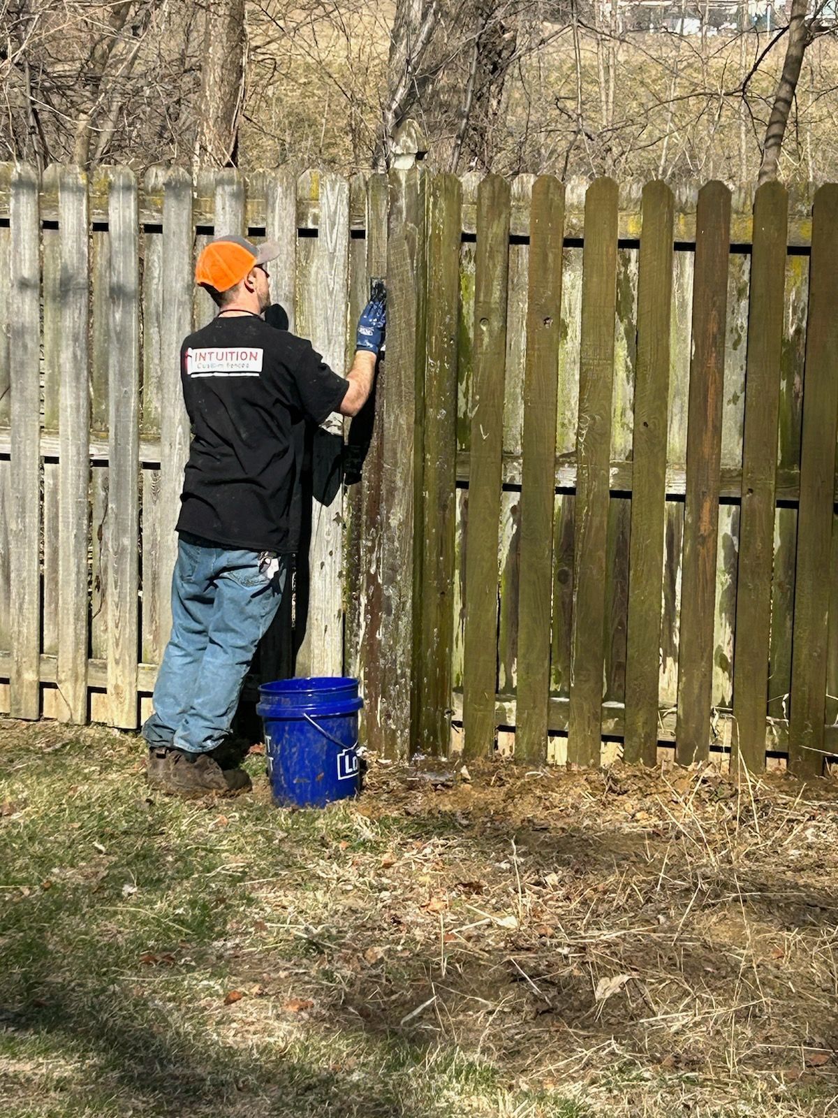 A man is painting a wooden fence with a blue bucket next to him.