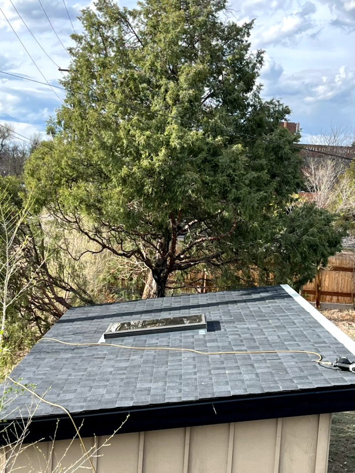 A newly shingled roof with a skylight sits below a large evergreen tree.