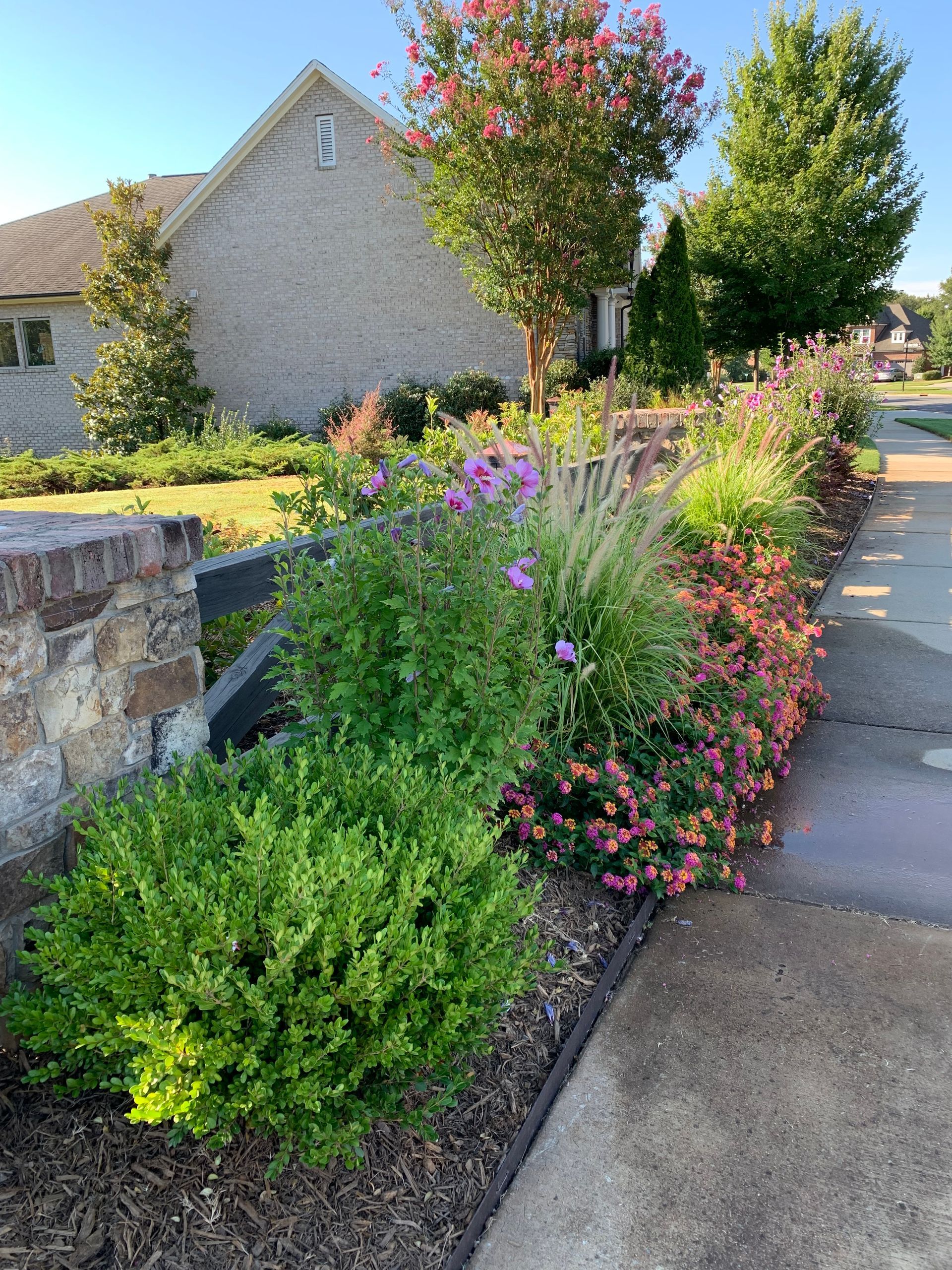 Lawn & Turf Treatment