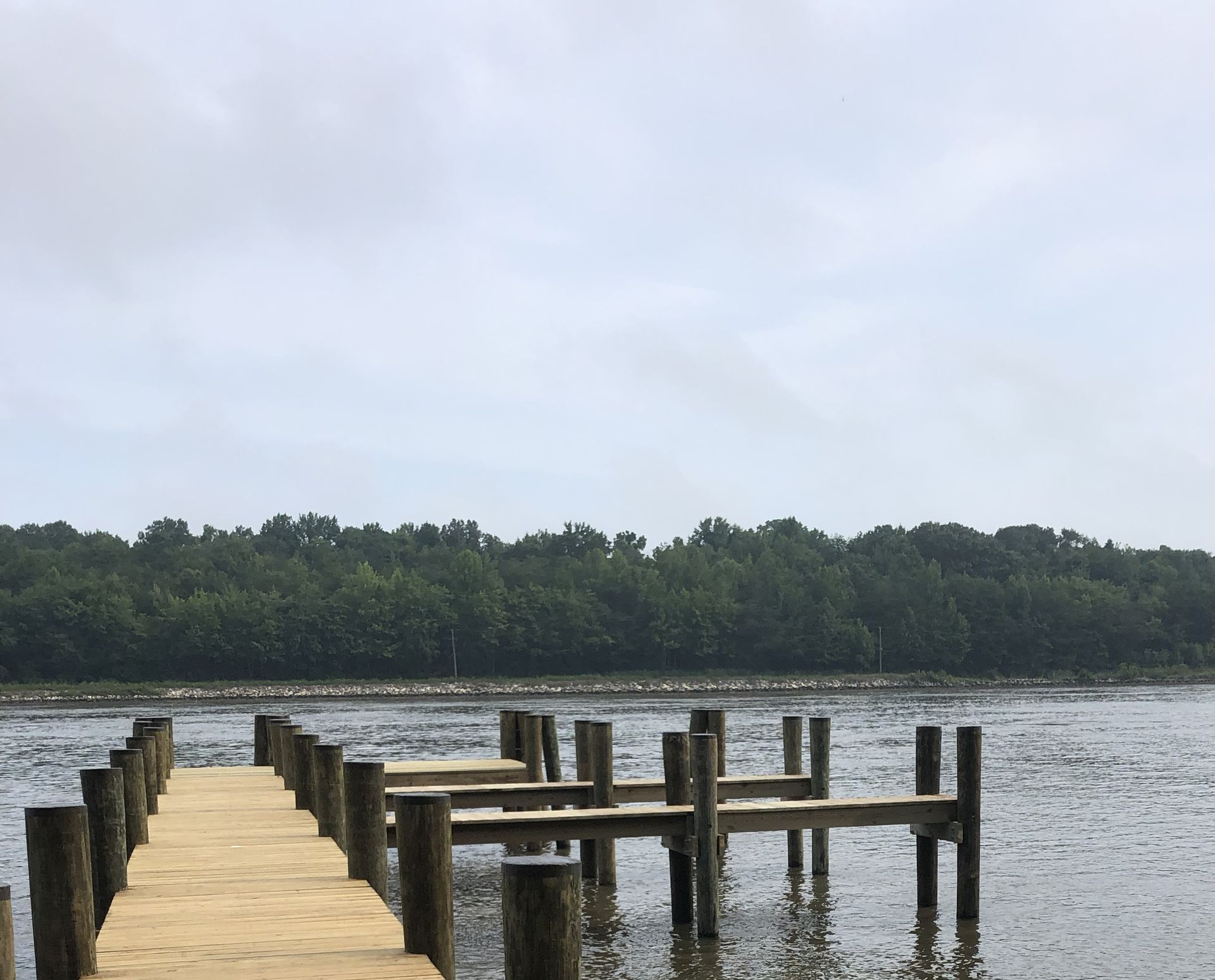 A wooden dock in the middle of a body of water with trees in the background.