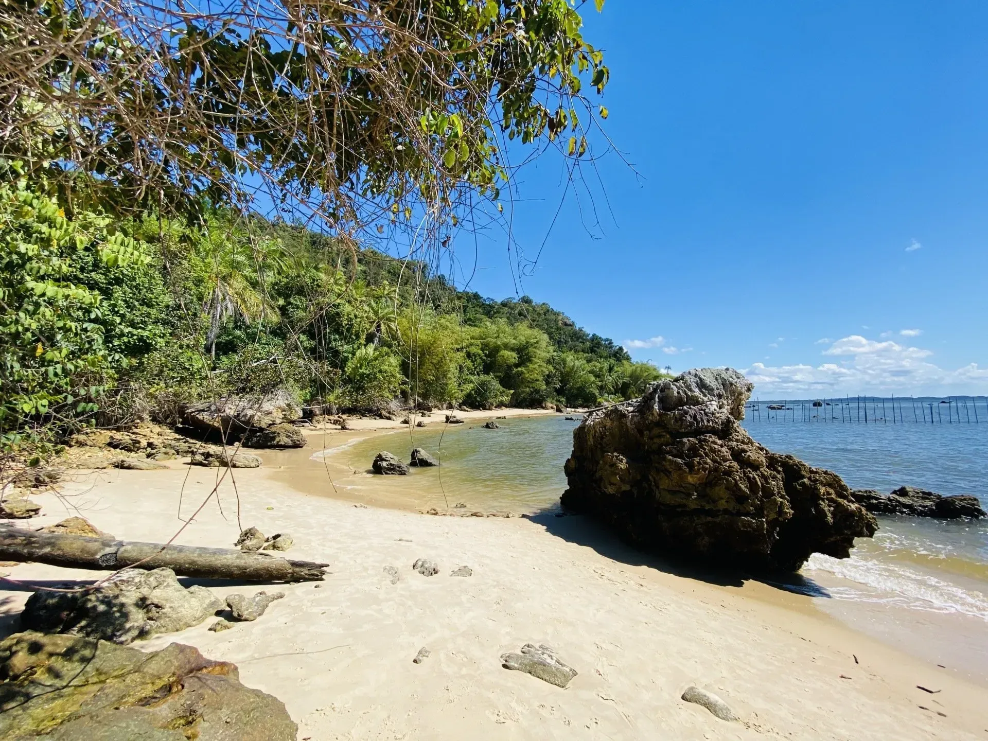 Imagem de uma praia e a natureza de Morro de São Paulo.