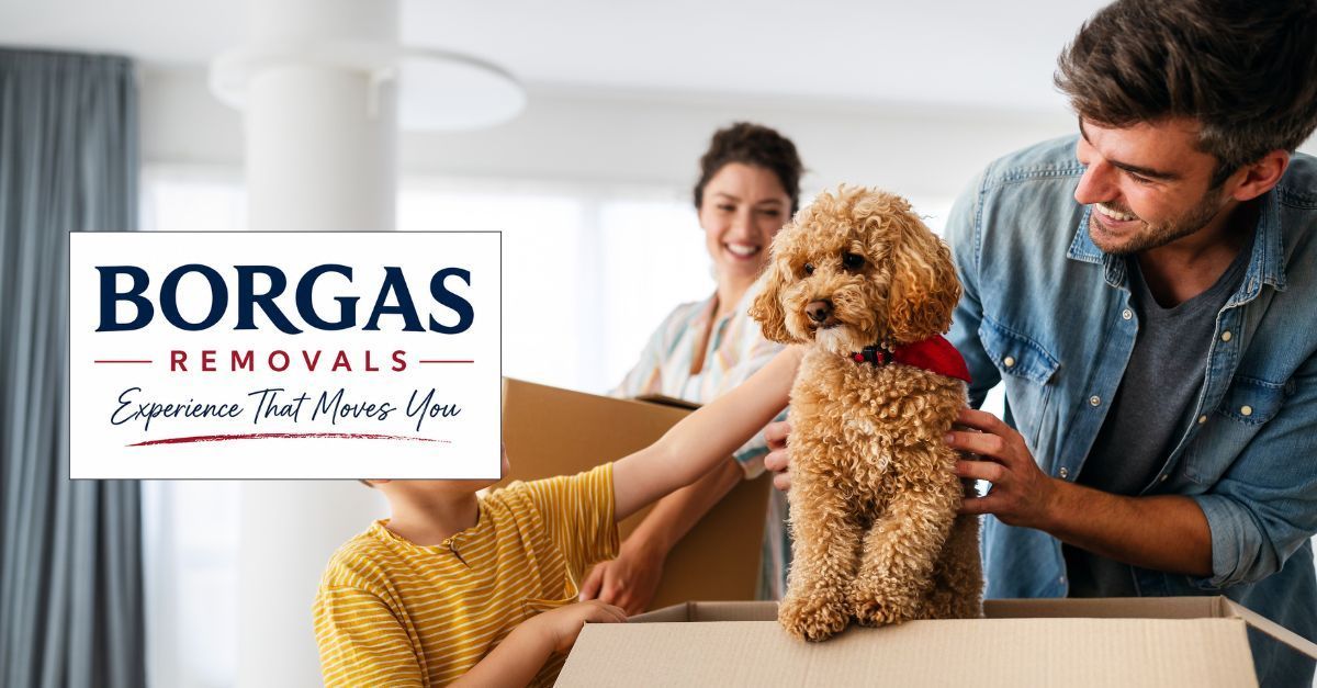Family moving house with their dog while preparing household belongings for a new home