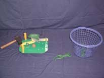 FROG JUMP