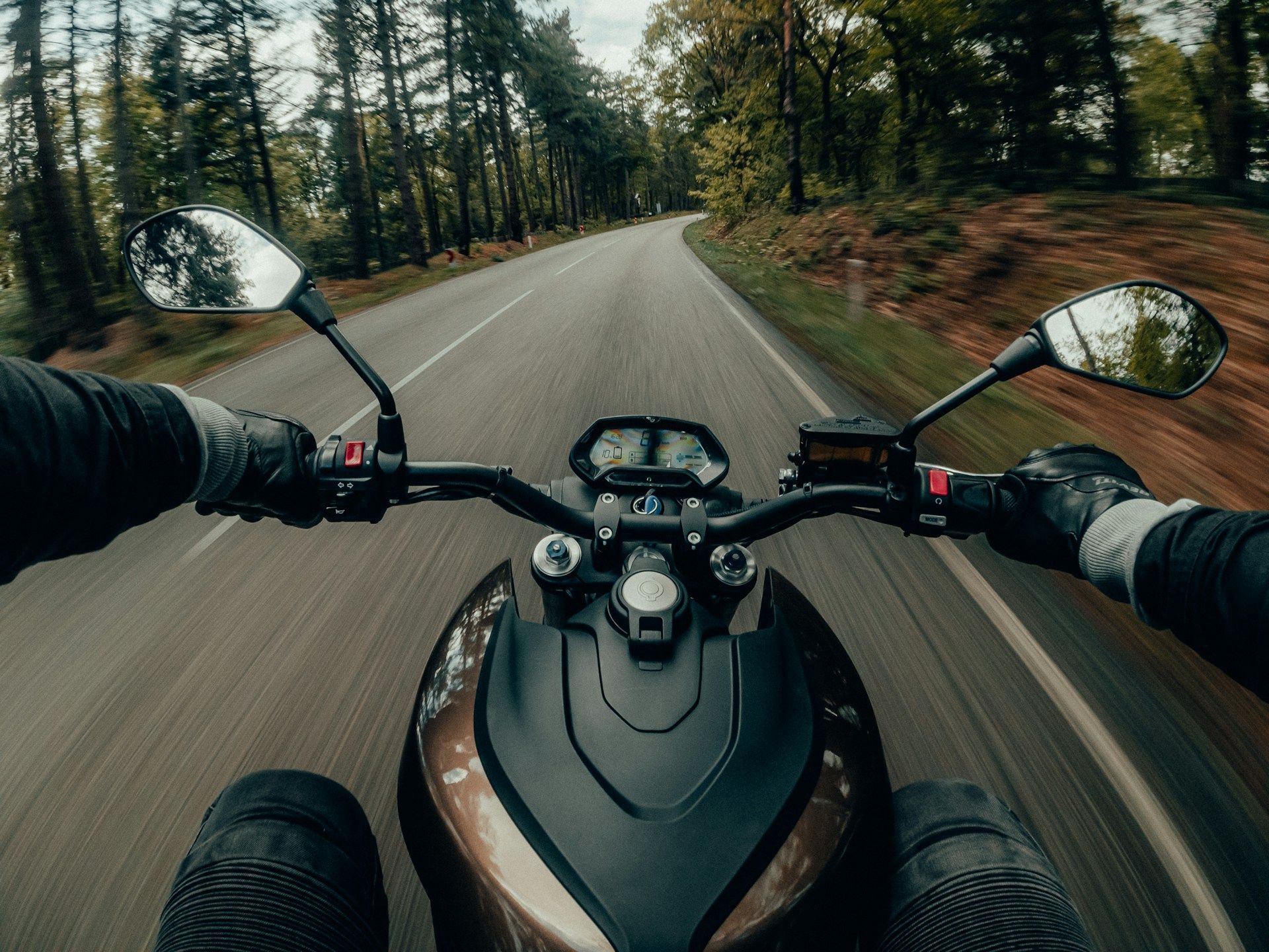 Motorcycle rider's view on a road through a forest; handlebars, mirrors, and road surface visible.