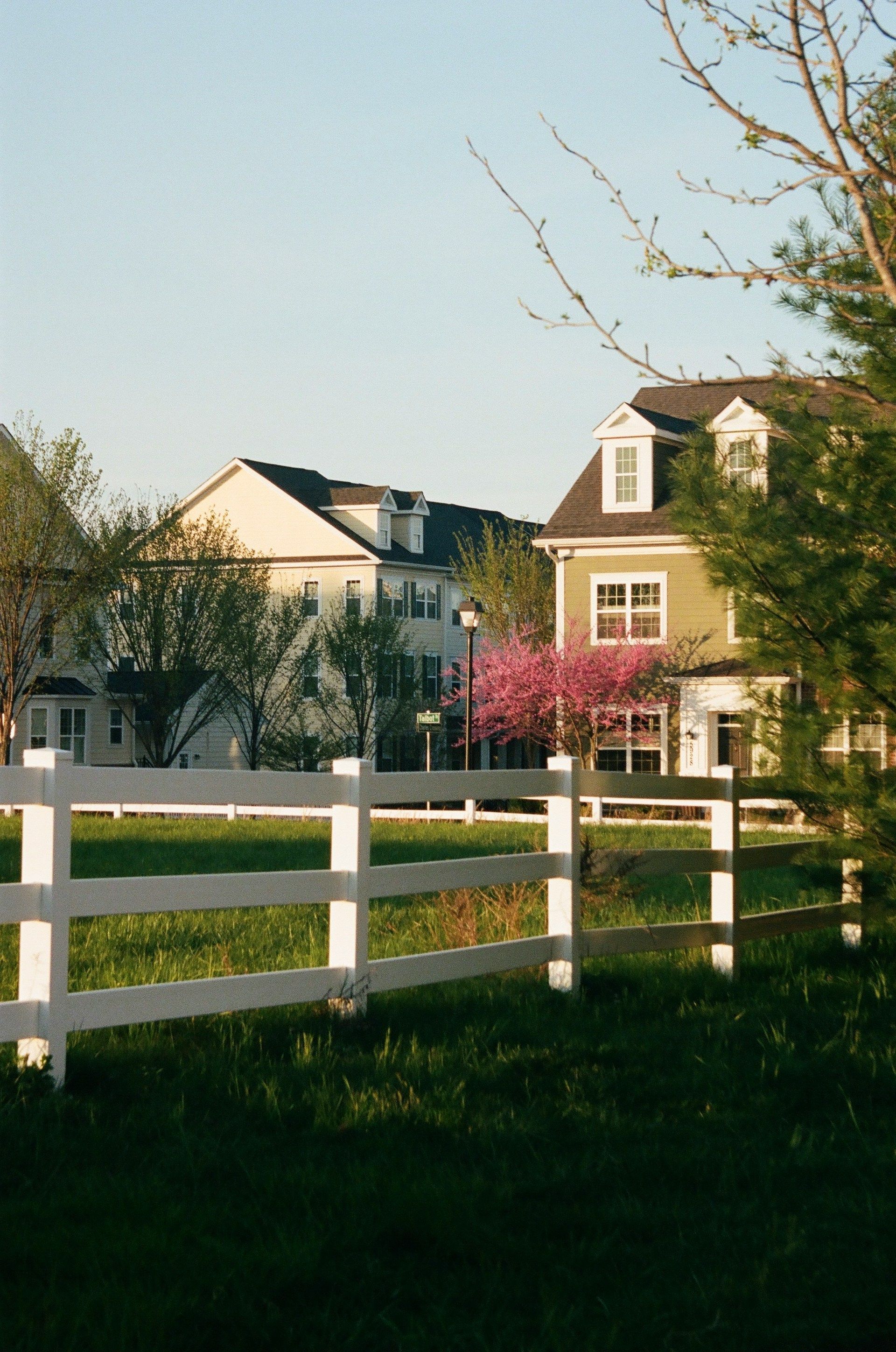 White fence in front of green grass, with houses in the background. Pink blossoming tree between the houses.
