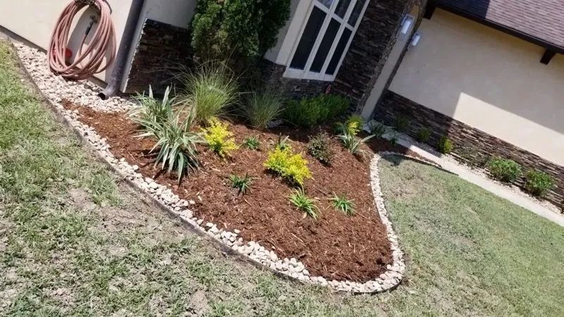 Landscaped yard bed with mulch and river rock border, containing plants.