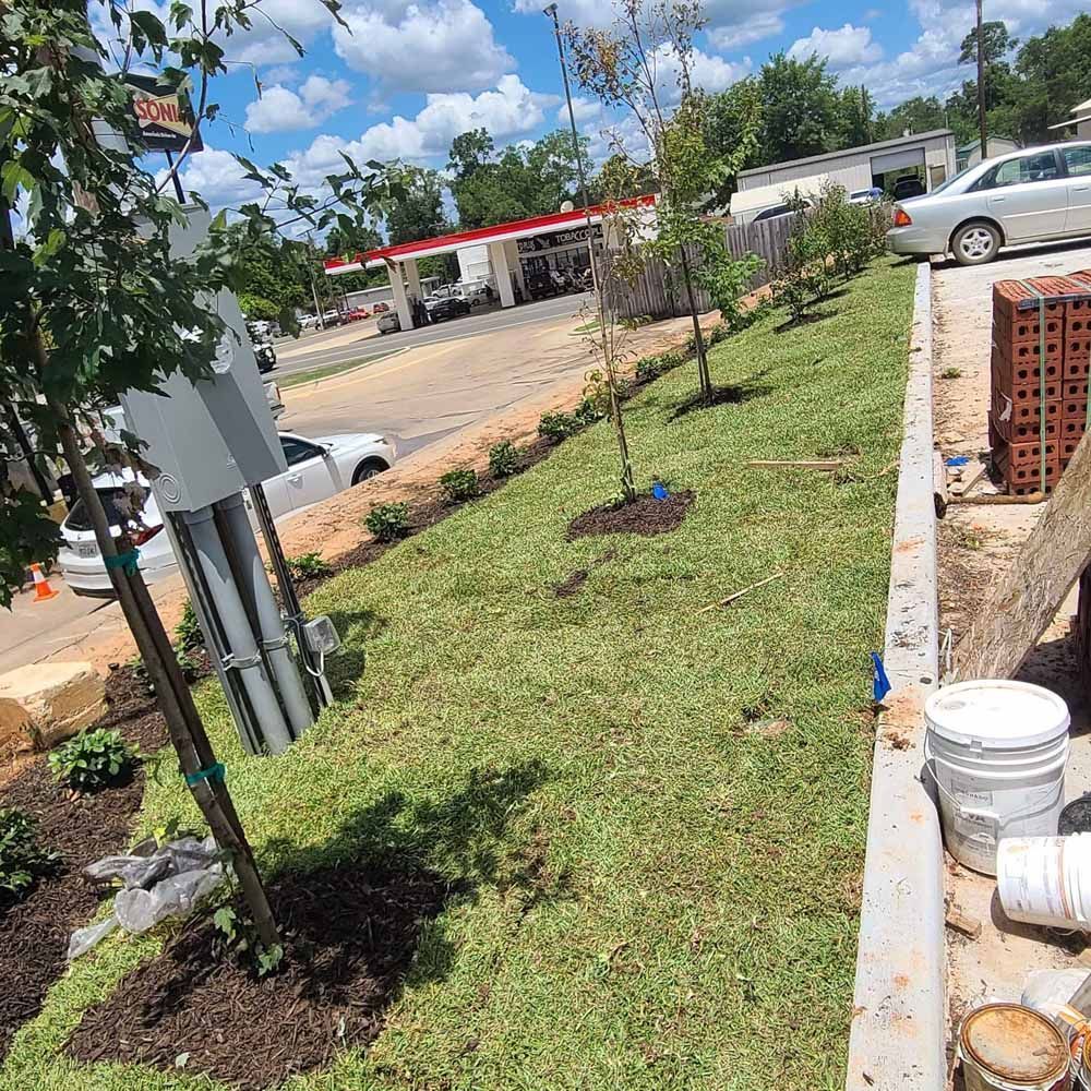 A freshly landscaped slope with young trees and green grass, near a parking lot and gas station.