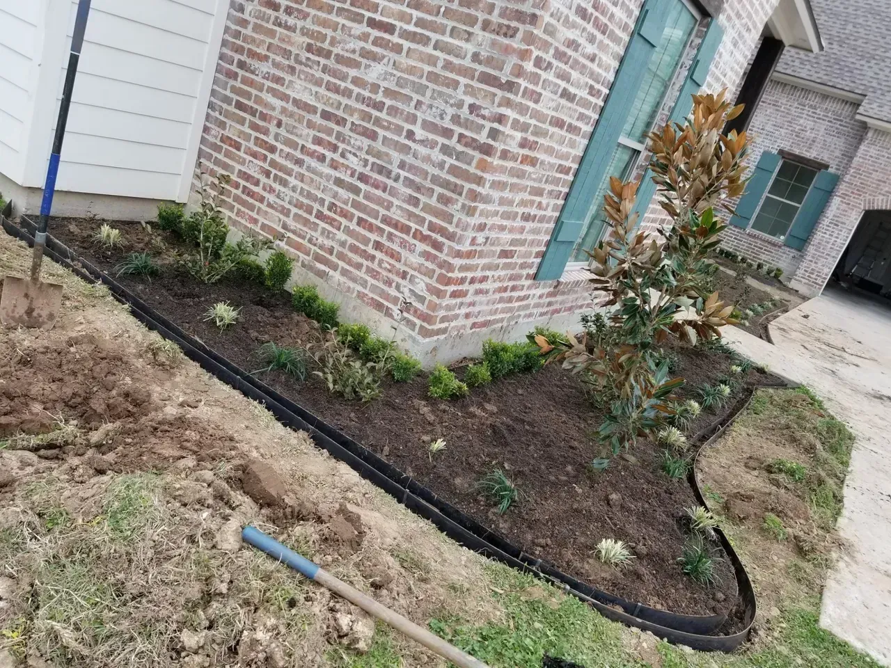 Newly landscaped flower bed at a brick house with a magnolia tree, bordered with black plastic edging.