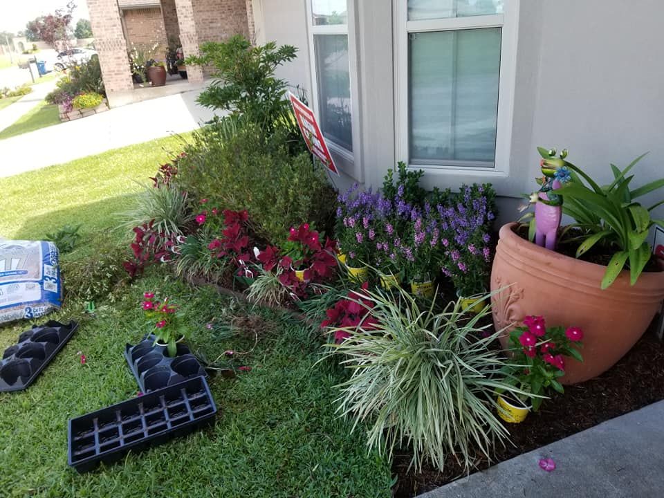 A flower bed with various plants and pots near a house.