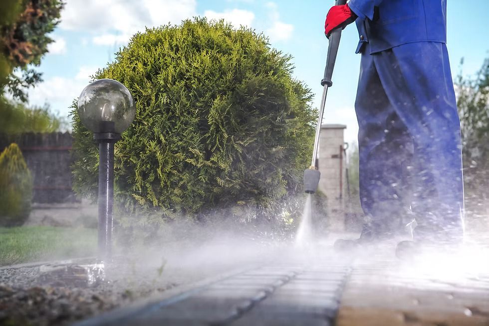 Professional exterior pressure washing services