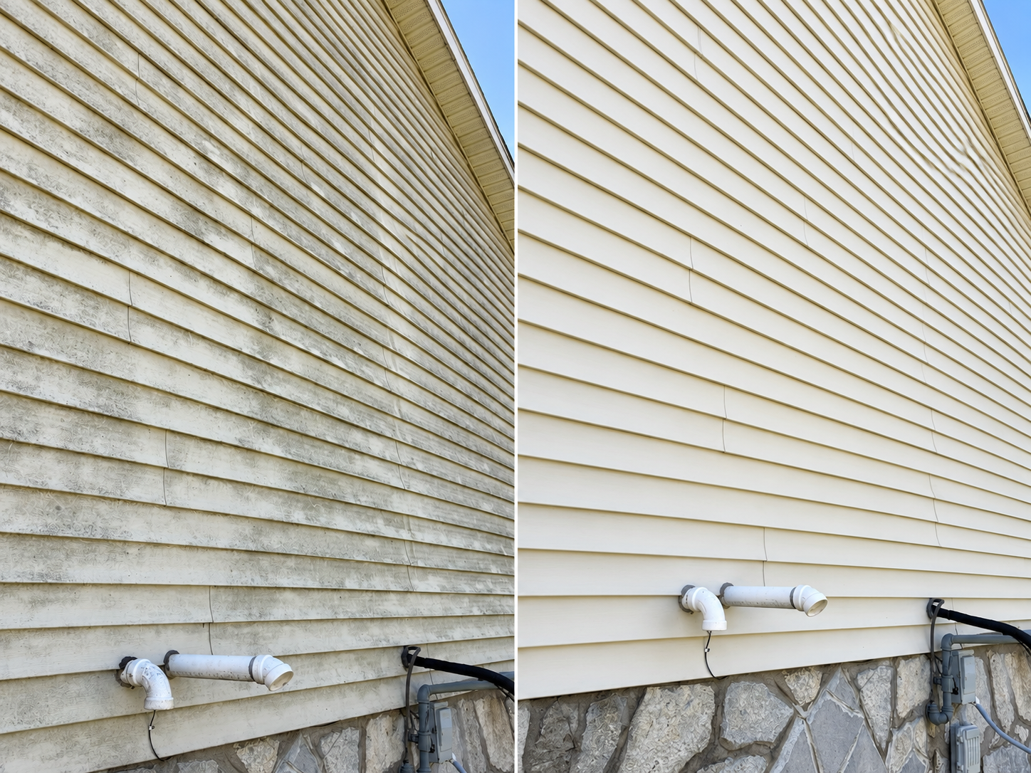 Buildup on shaded house siding beside shrubs