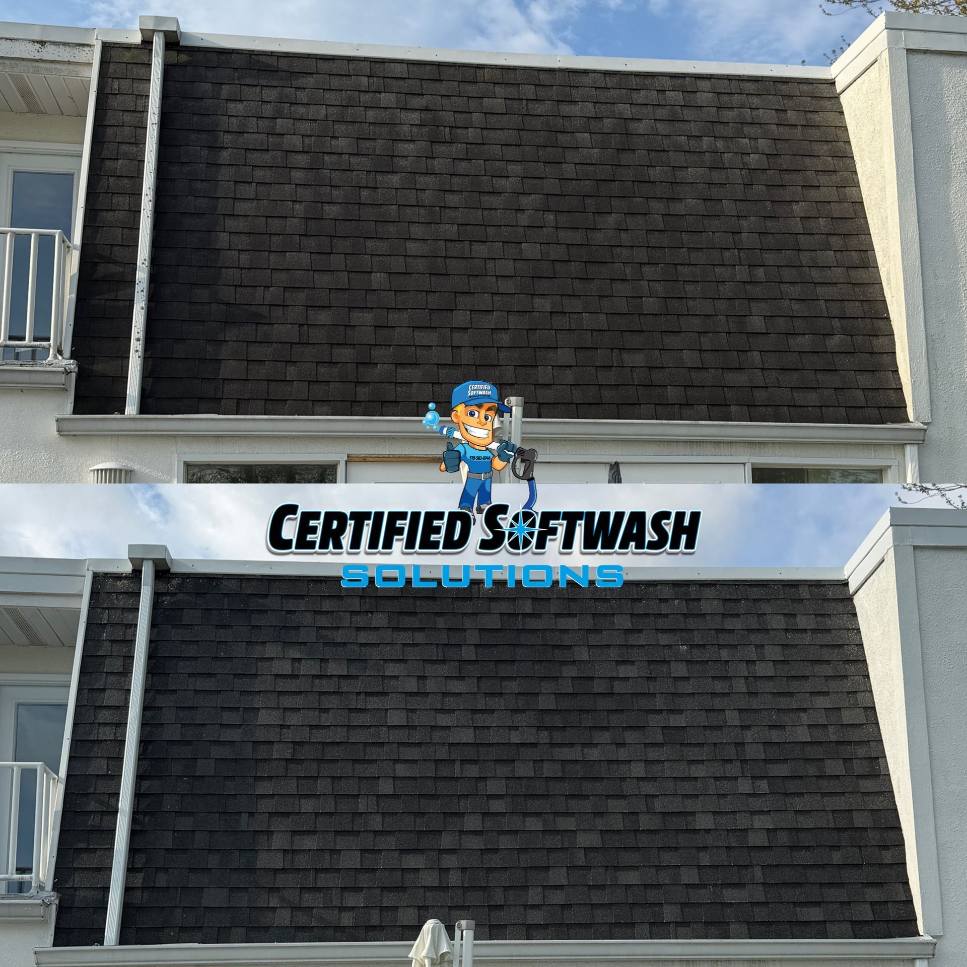 roof cleaning