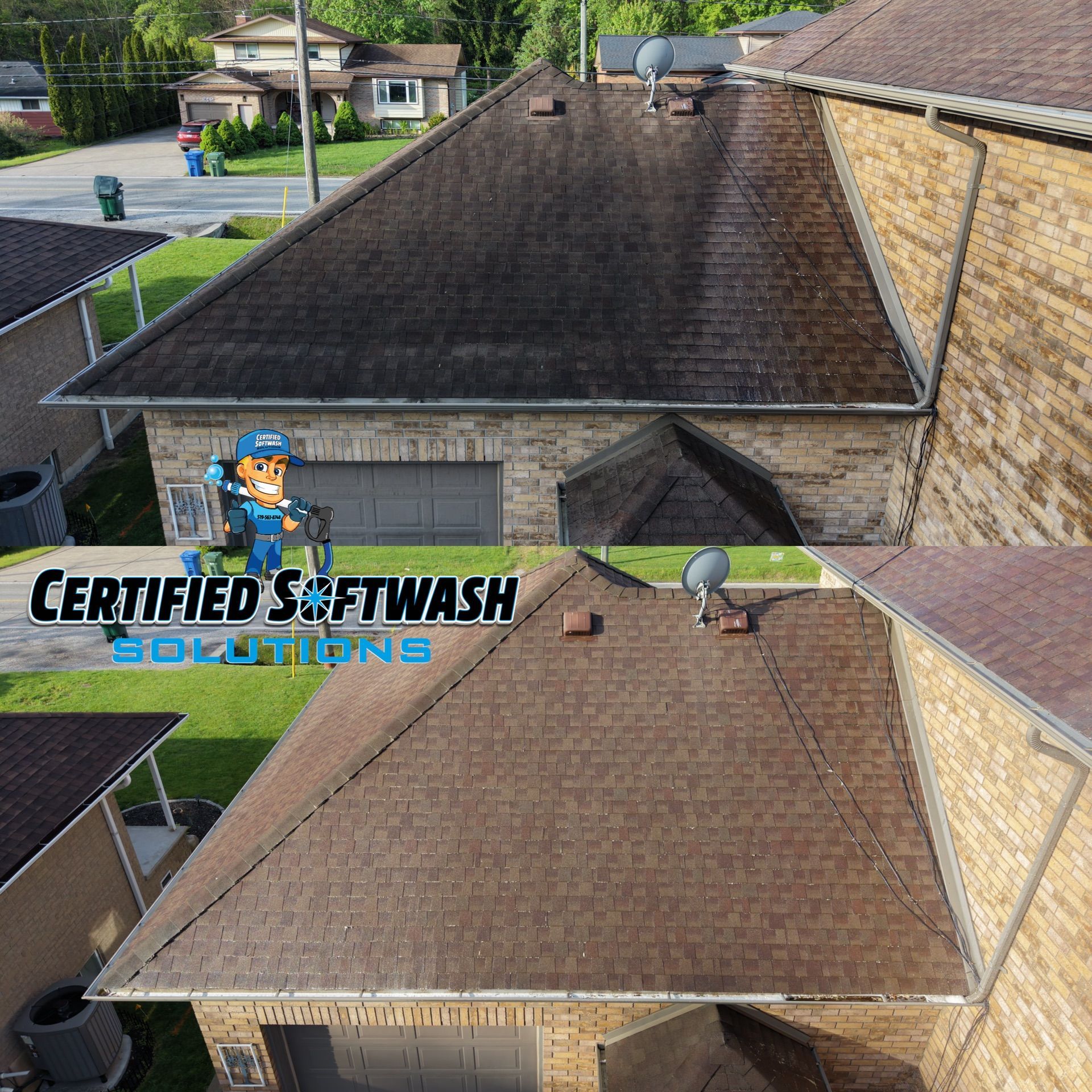 roof mold cleaning