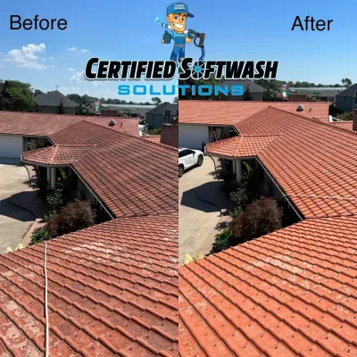roof cleaning services
