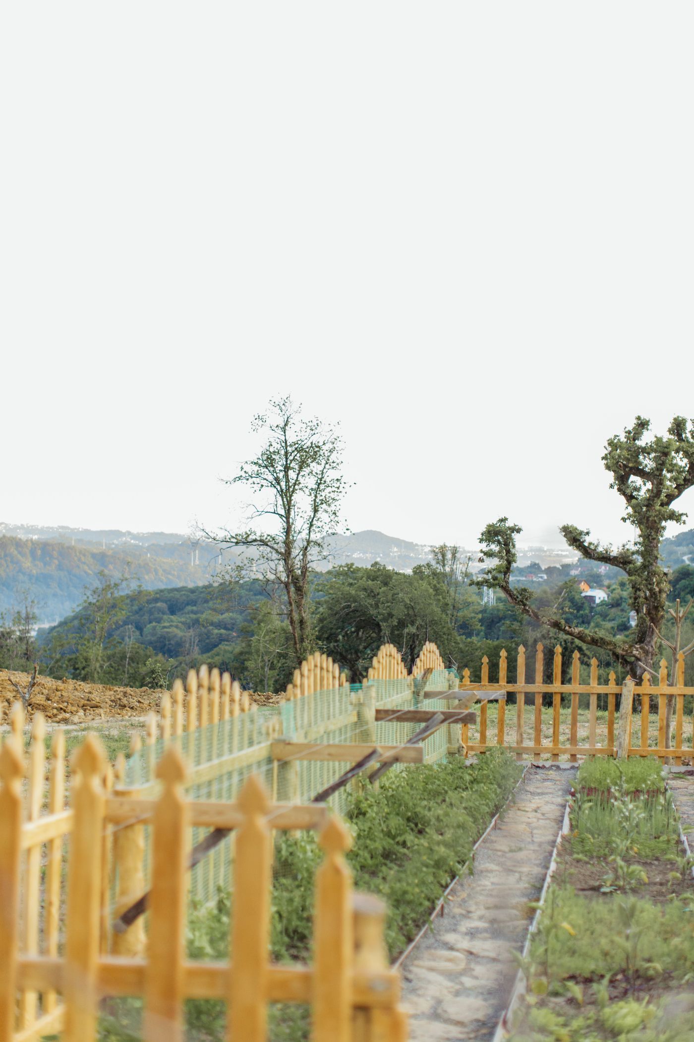 Wooden fence along a backyard garden