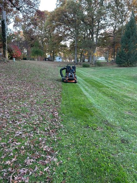 Lawnmower clearing leaves on a lawn. Half covered in leaves, other half mown green grass.