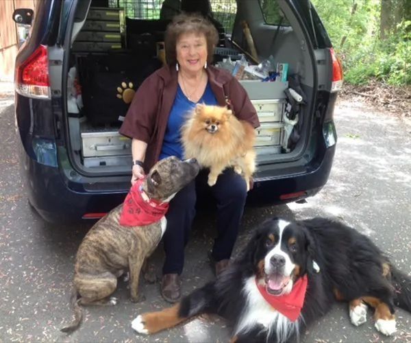 Woman sits by open car with three dogs, including a fluffy tan dog, a brindle dog, and a black-and-white dog.