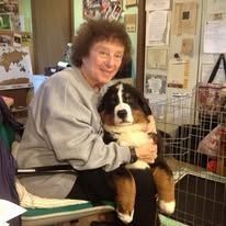 Woman holding a large black, white, and brown puppy in a cozy indoor room