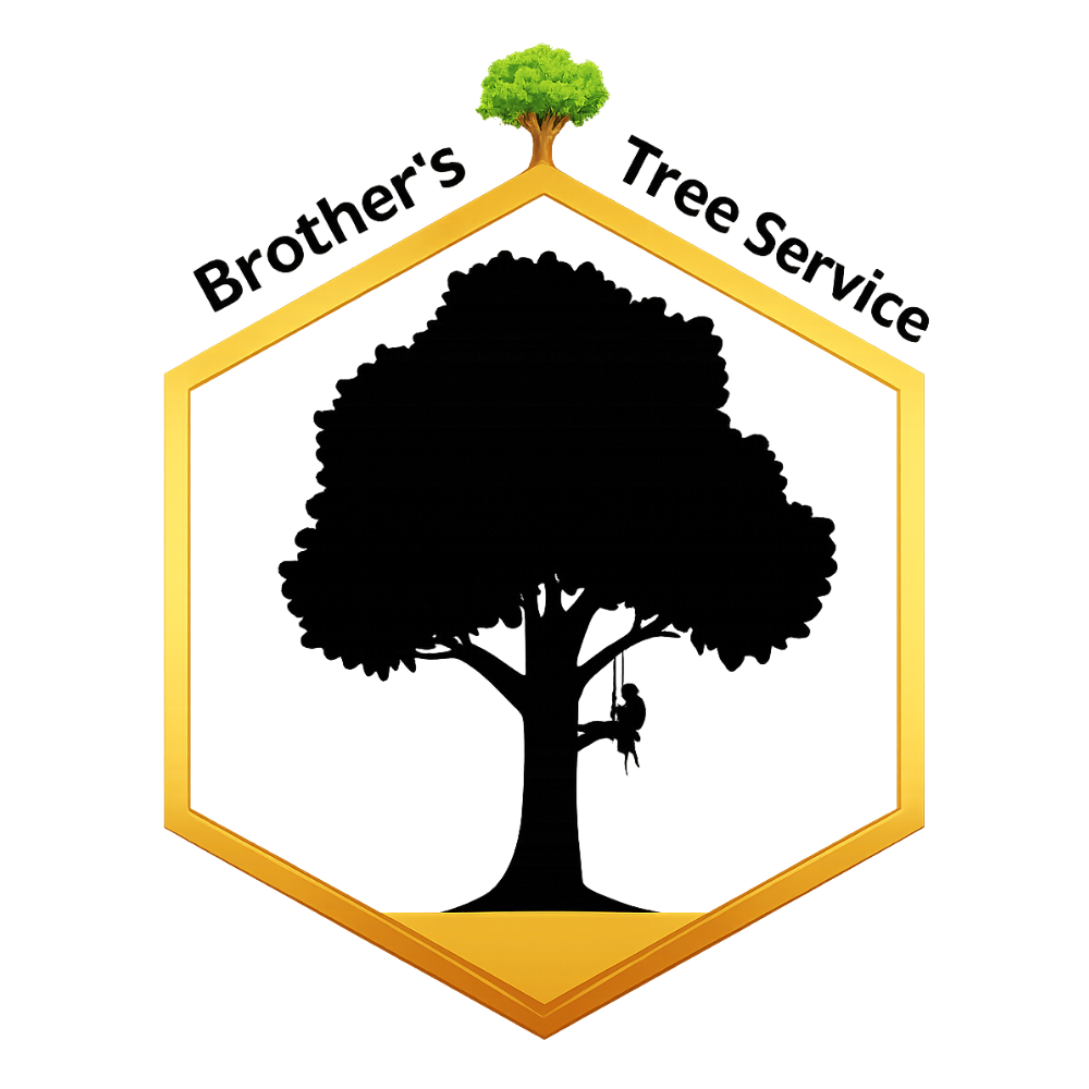 Logo for EverRoot Tree Service: A green tree silhouette above the company name in green and brown text.