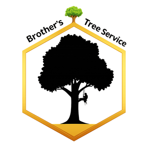 Brother's Tree Service, LLP logo