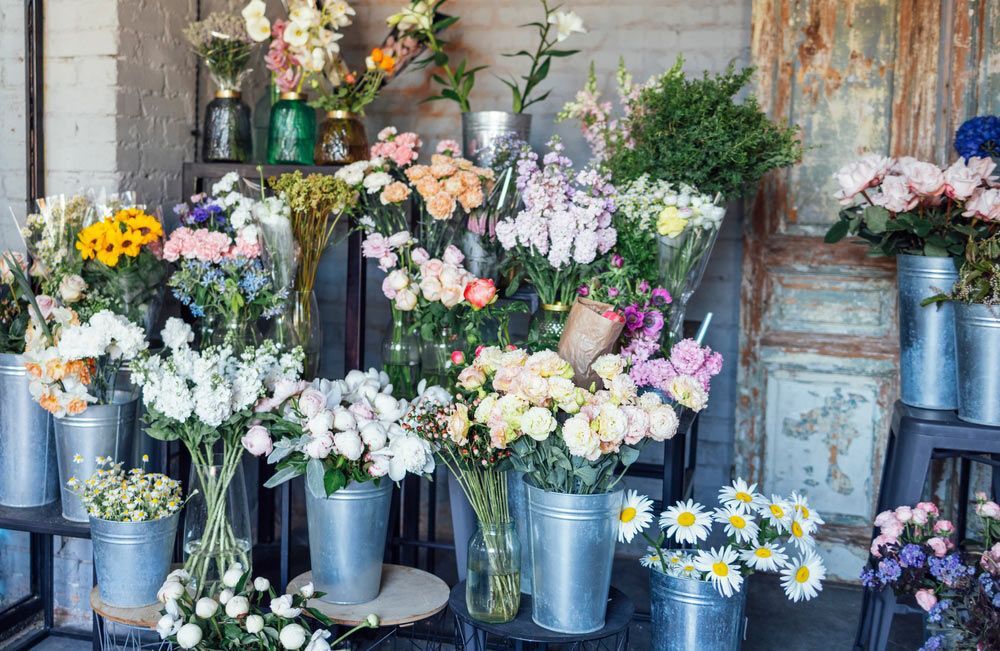 There Are Many Different Types of Flowers in Buckets in A Flower Shop — Pick-A-Bunch Florists & Gifts In Armstrong Beach, QLD