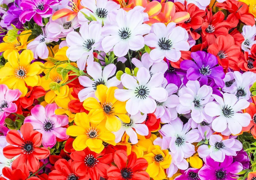 A Bunch of colourful Flowers Are Sitting on Top of Each Other — Pick-A-Bunch Florists & Gifts In Koumala, QLD