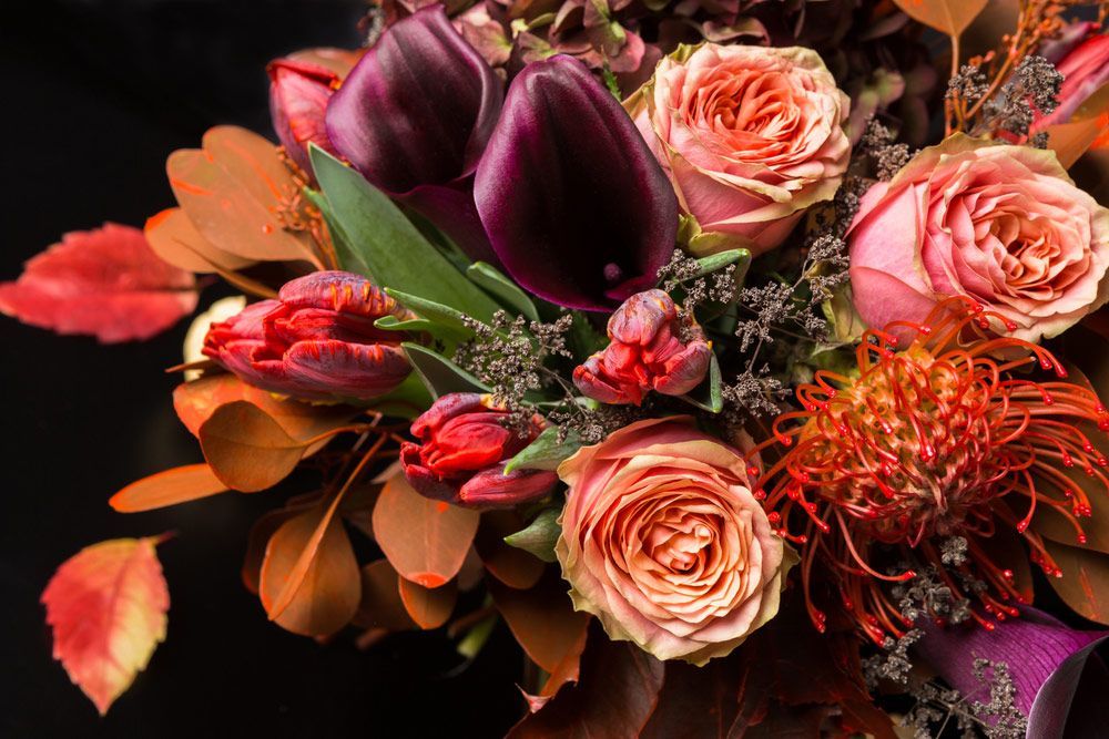 A Close up Of a Bouquet of Flowers on A Black Background — Pick-A-Bunch Florists & Gifts In Koumala, QLD