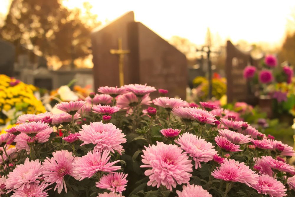 A Bunch of Pink Flowers in A Cemetery — Pick-A-Bunch Florists & Gifts In Hay Point, QLD