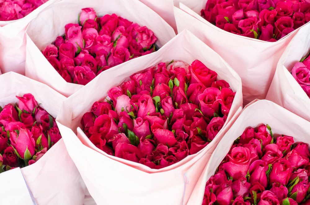 A Bunch of Pink Roses Wrapped in Pink Paper — Pick-A-Bunch Florists & Gifts In Hay Point, QLD