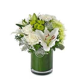 A Vase Filled with White Flowers and Greenery on A White Background — Pick-A-Bunch Florists & Gifts In Sarina, QLD