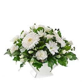 A White Vase Filled with White Flowers and Green Leaves on A White Background — Pick-A-Bunch Florists & Gifts In Sarina, QLD