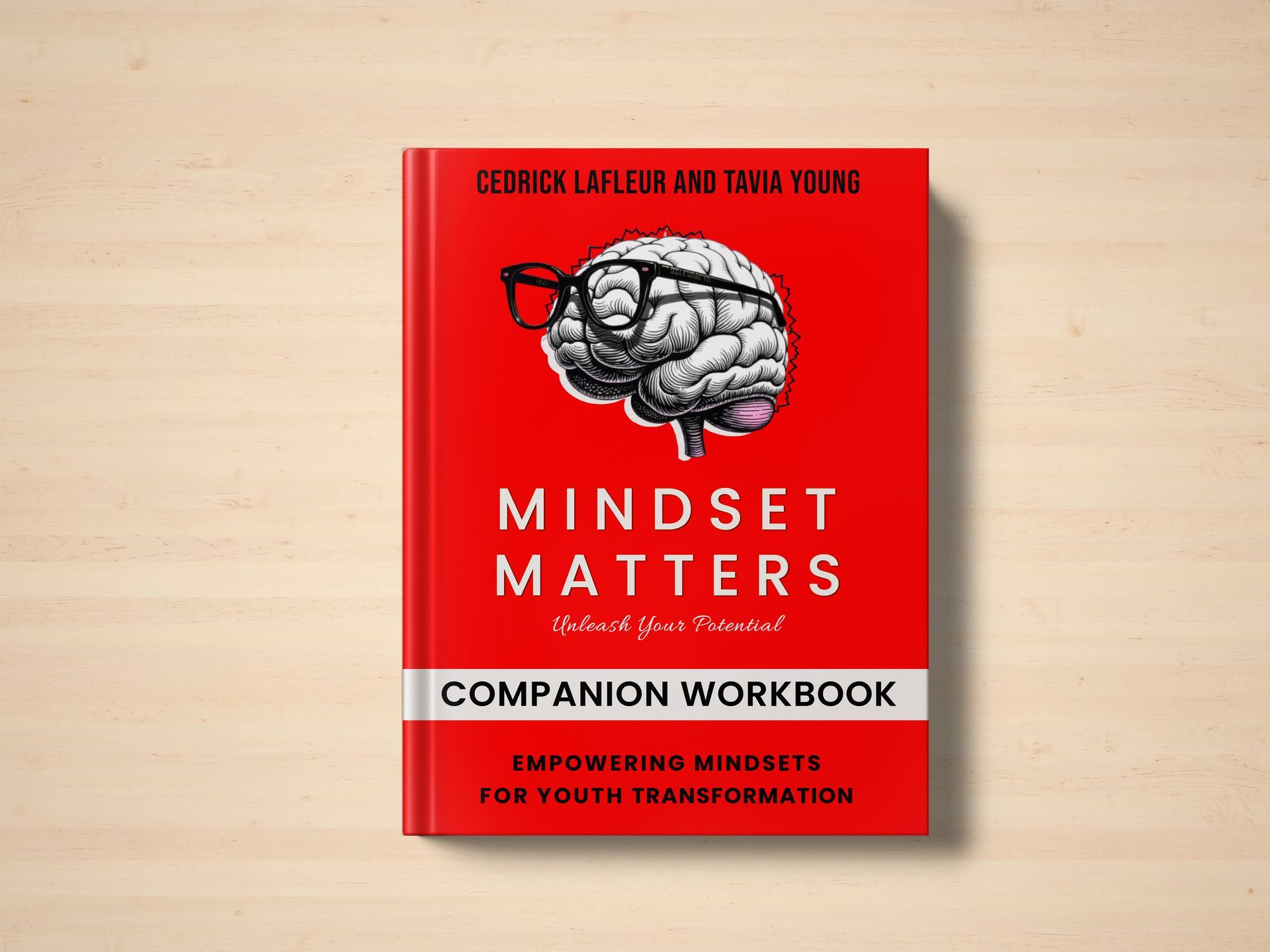 Red book cover titled 