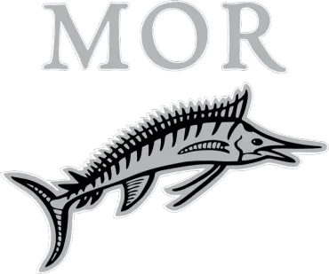 Marlins of Raleigh