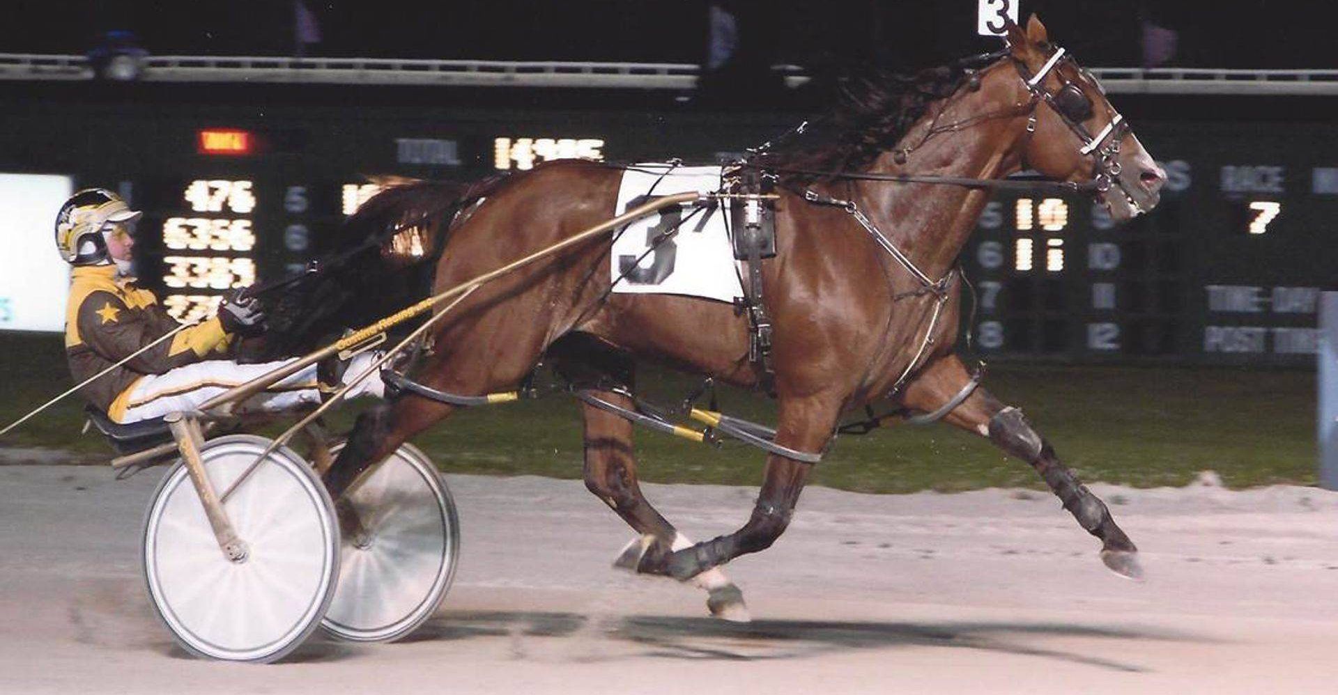 Walker Standardbreds