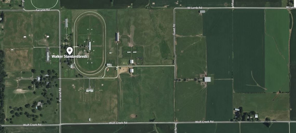 Walker Standardbreds About