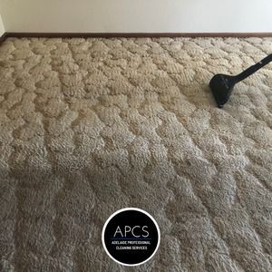 Carpet being cleaned, showing a clear difference in color and texture.