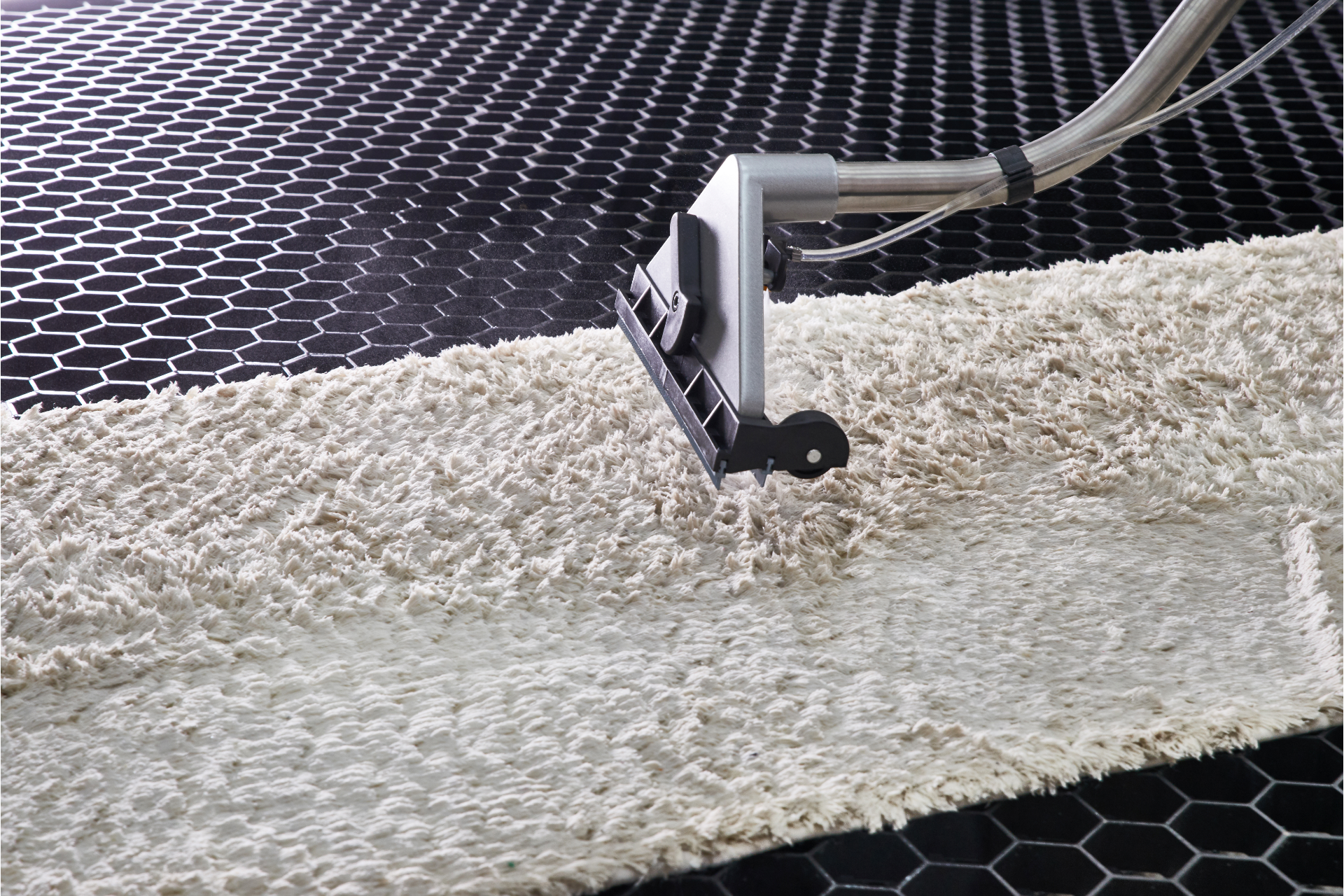 Carpet being cleaned with a professional machine; a white carpet is against a black hexagonal tiled floor.
