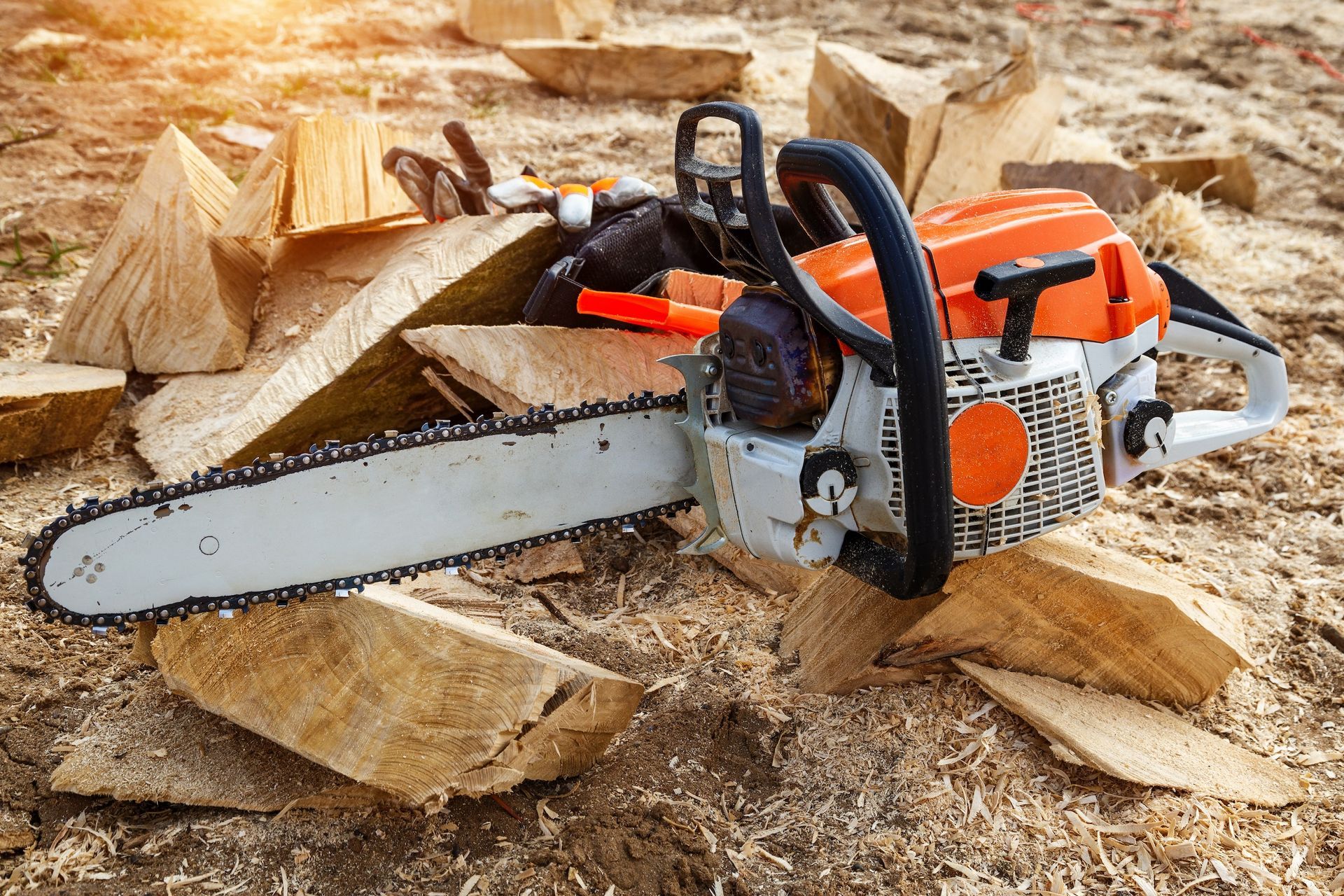 Chainsaw on Wood, Surrounded by Cut Logs and Sawdust — Cairns Small Engine Repairs in Bentley Park, QLD