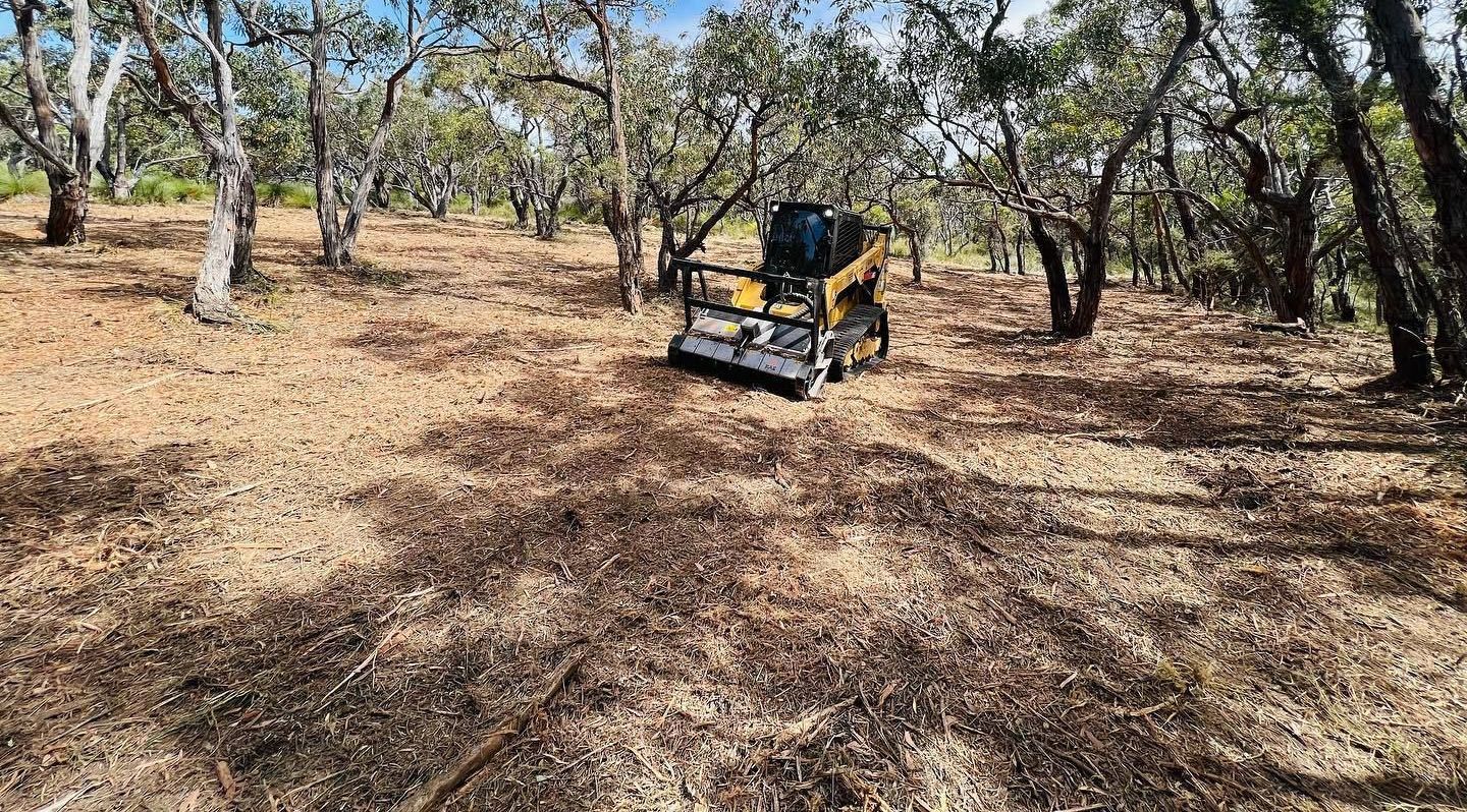 Forestry mulching