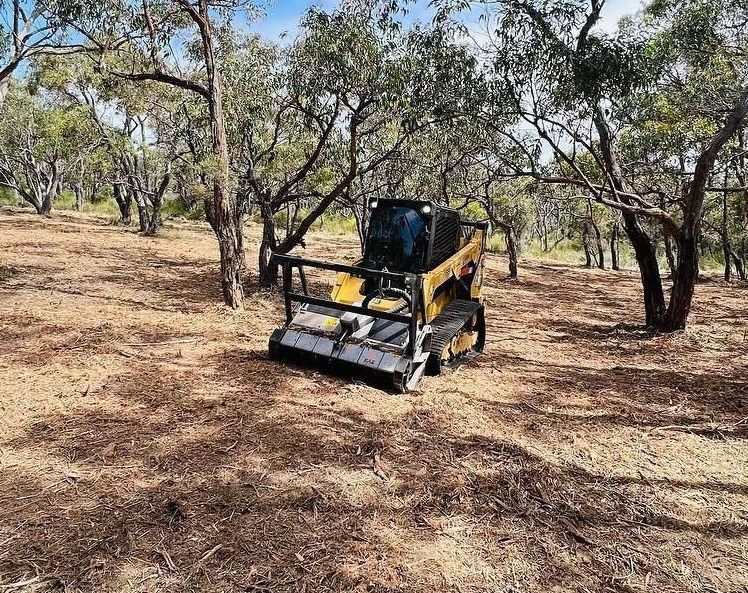 Box grader