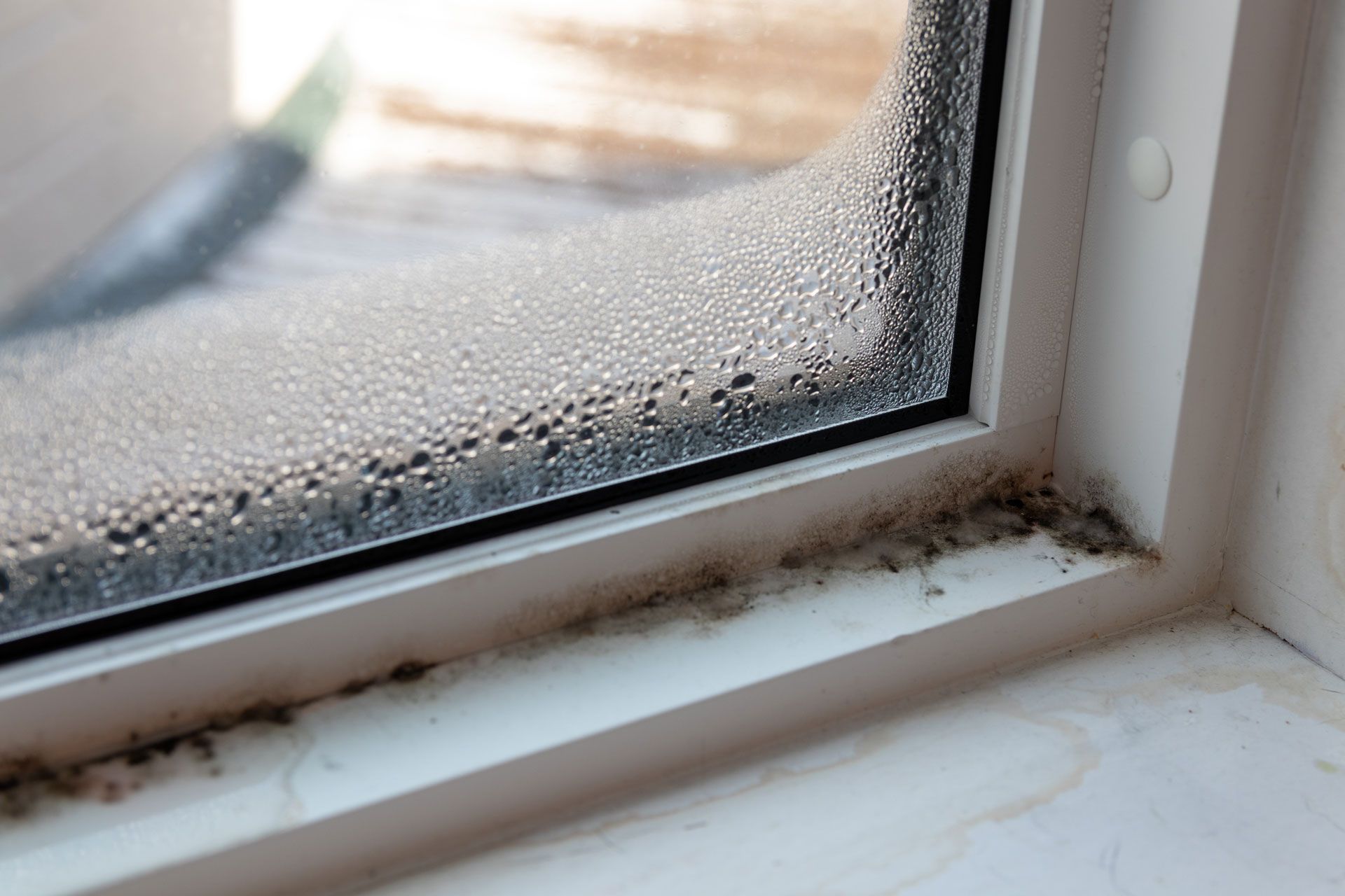 Condensation and dirt buildup along a white window sill and frame.