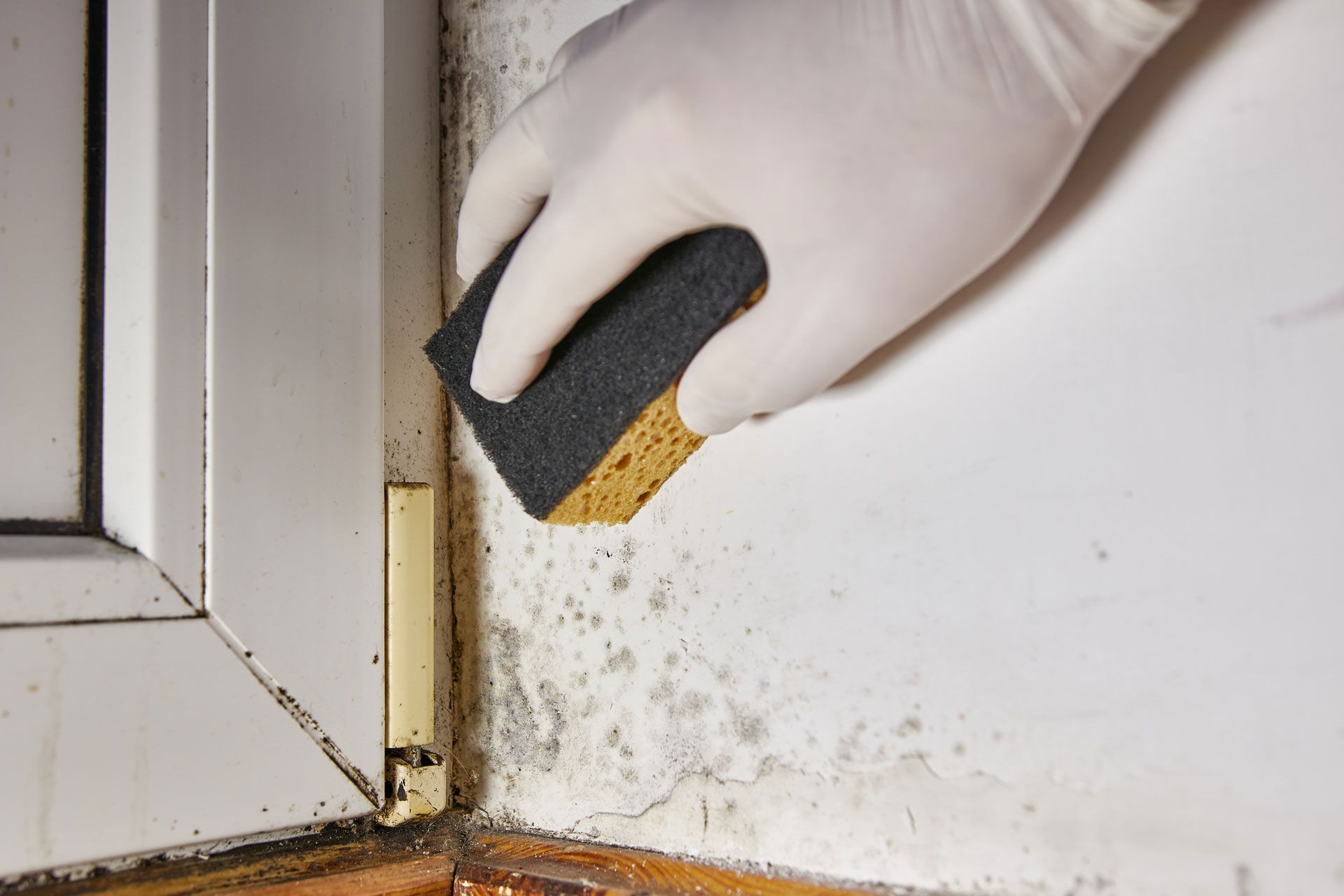 Gloved hand scrubbing mold and grime from a dirty window corner with a sponge