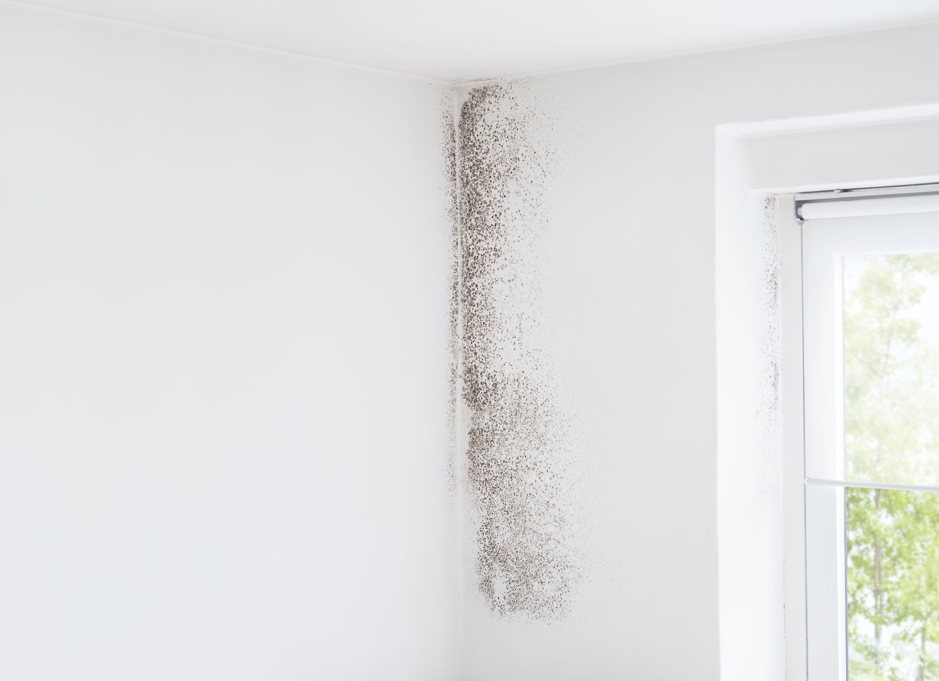 White wall with vertical black mold or water damage stain near a window in a bright room