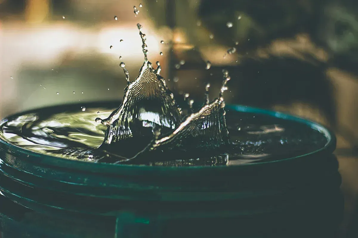 Fresh cup of water