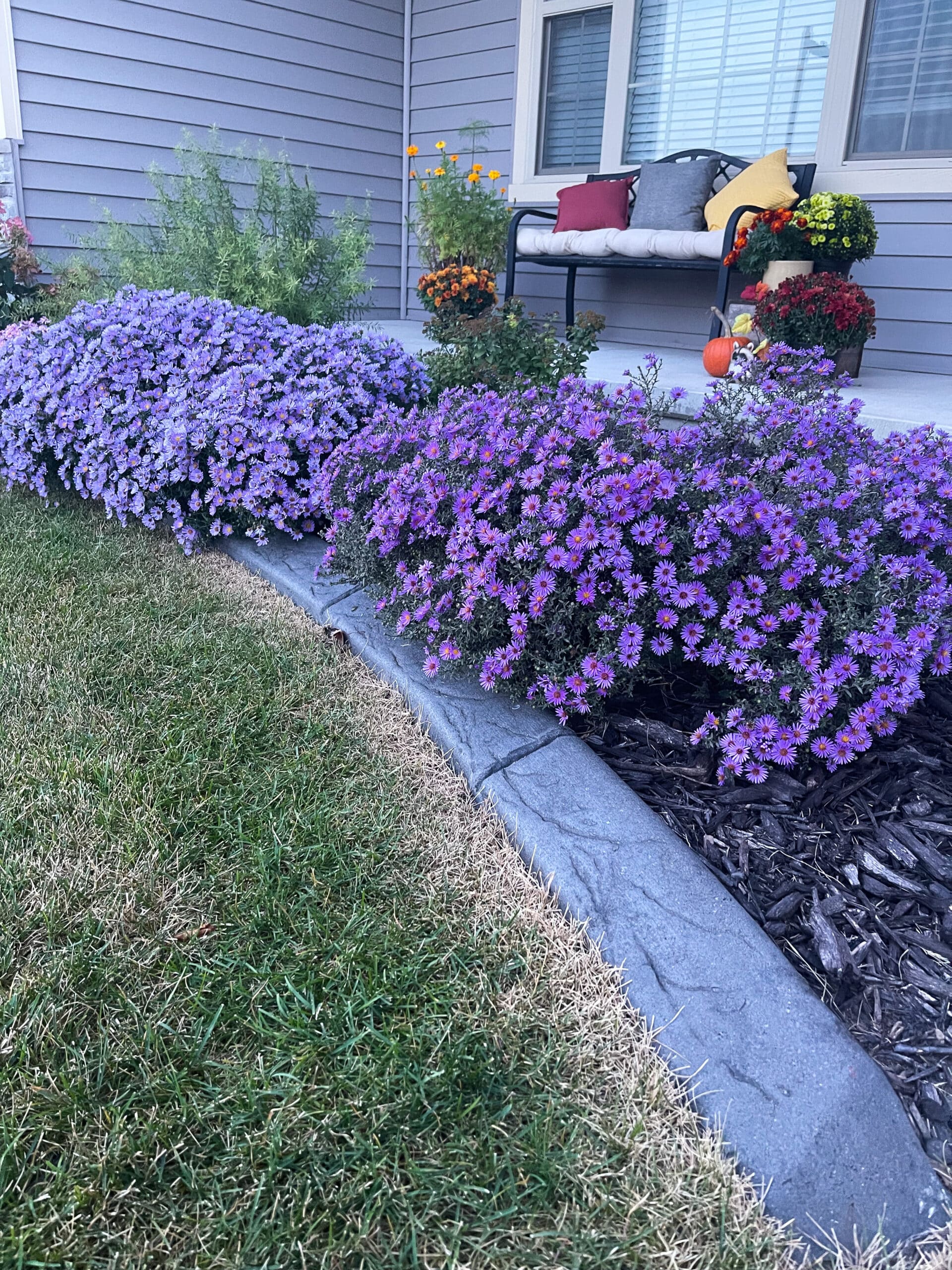 Concrete Curb and Purple Flowers — Appleton, WI — Vargas Curb