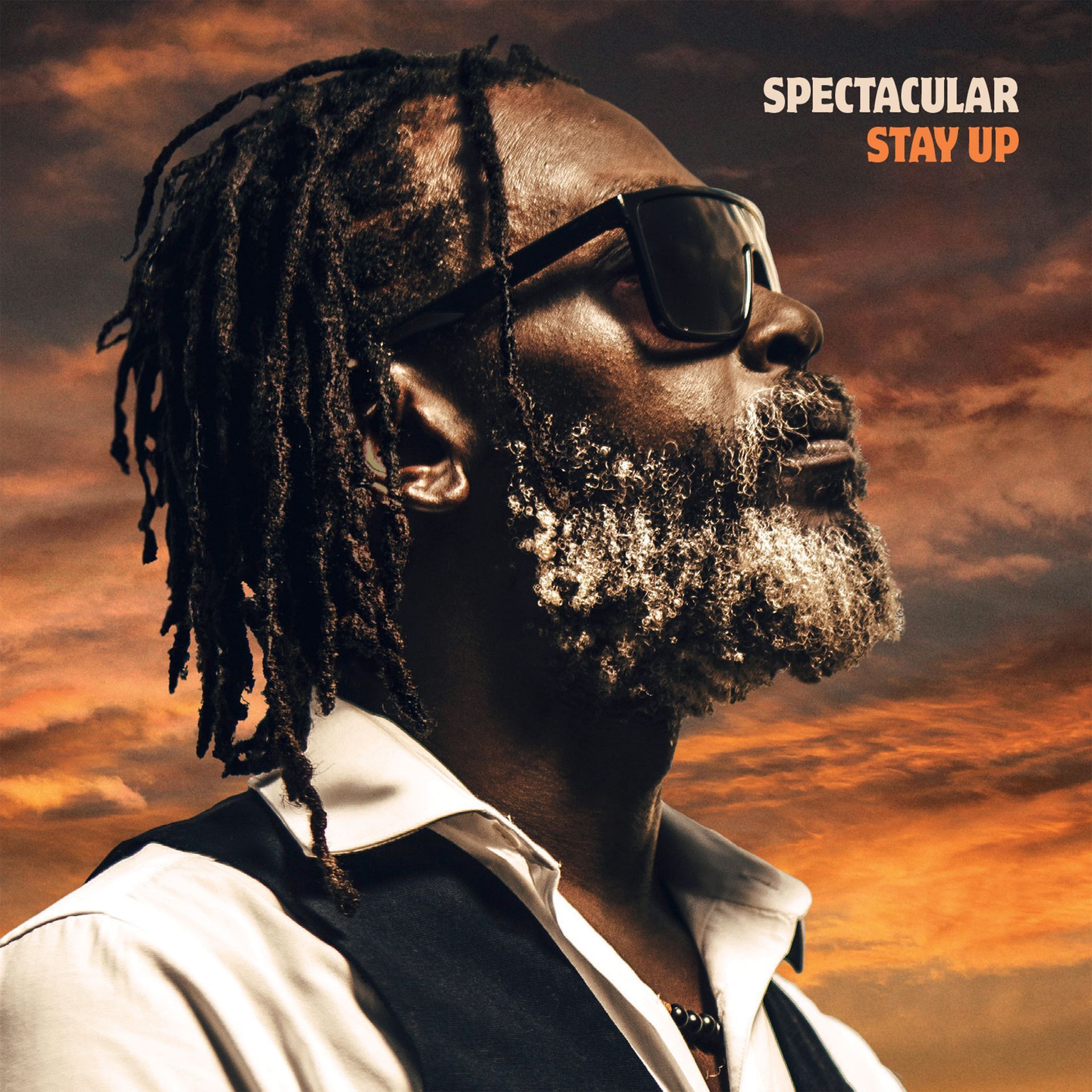 stay up album spectacular
